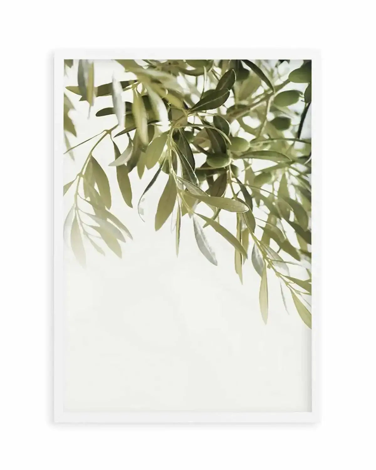 Olive Garden I Art Print from Olive et Oriel where you can shop wallpaper and artworks online