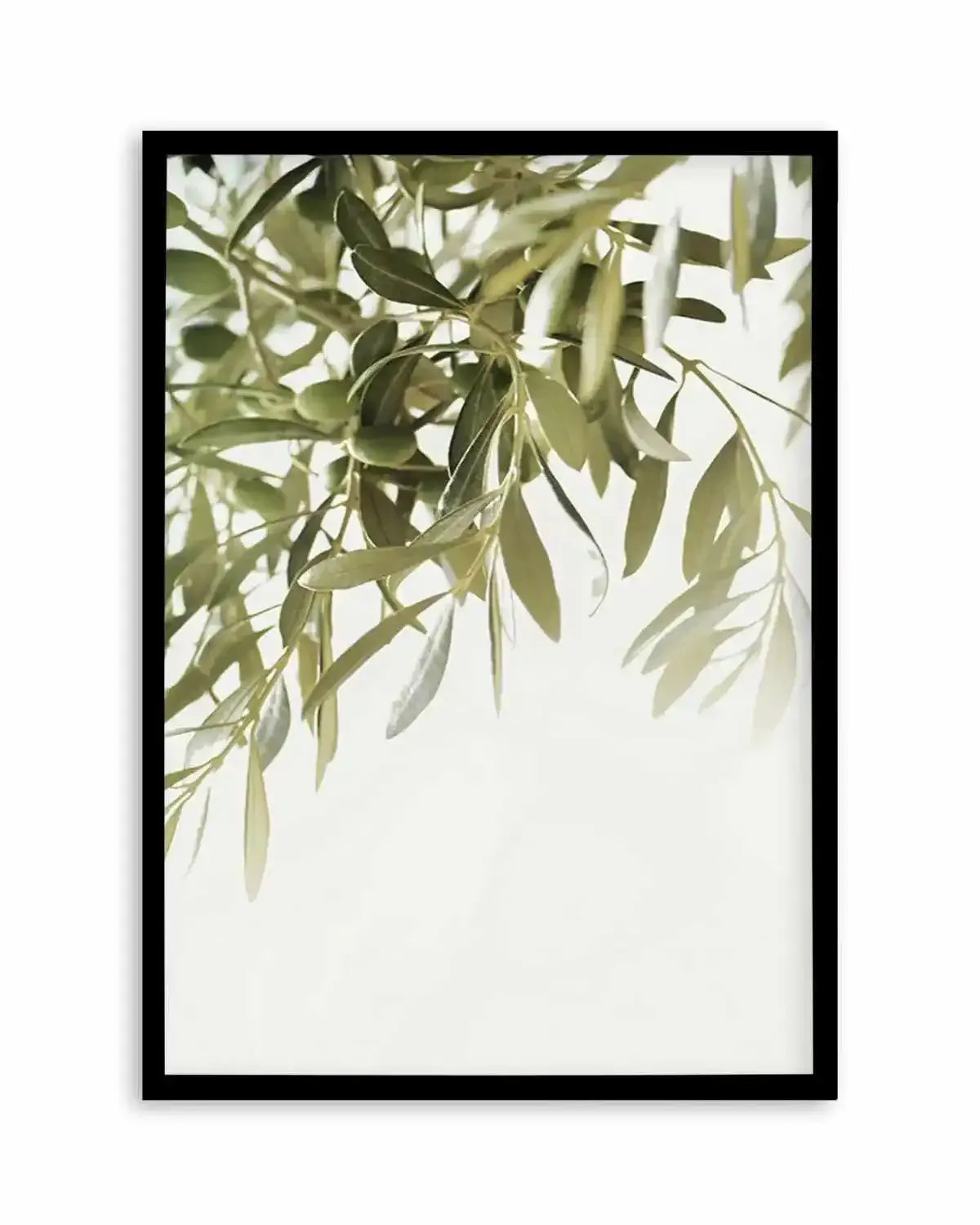 Olive Garden II Art Print from Olive et Oriel where you can shop wallpaper and artworks online