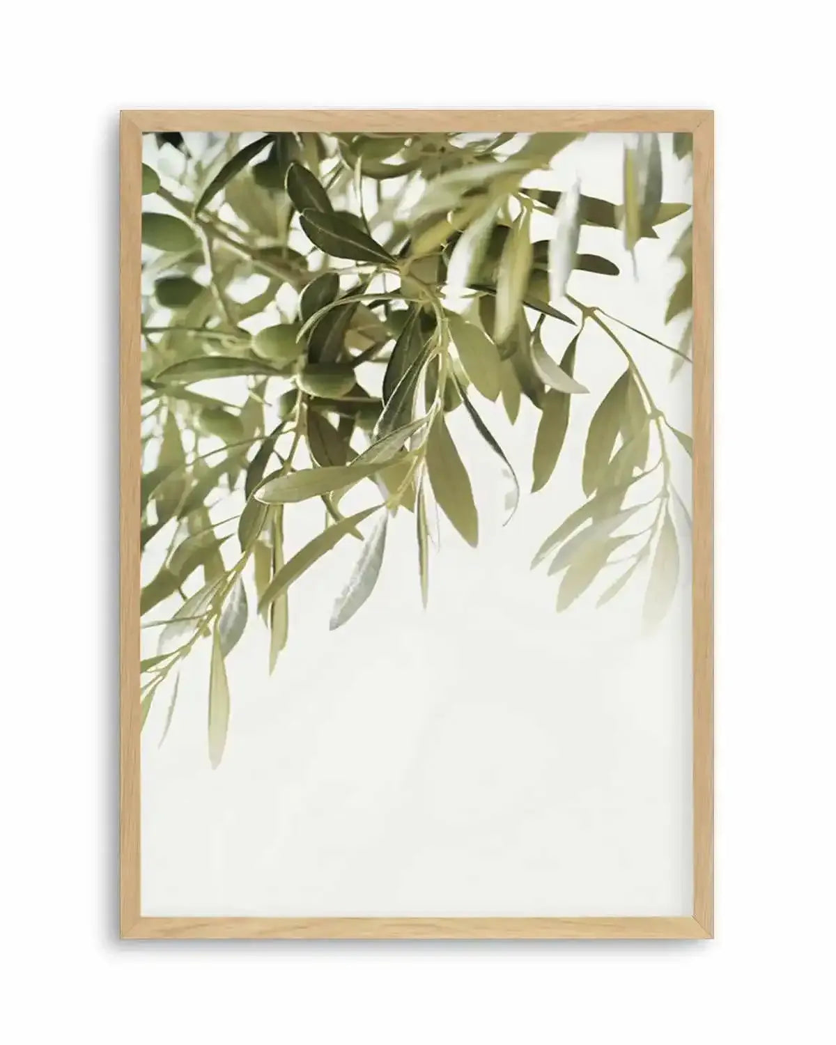 Olive Garden II Art Print from Olive et Oriel where you can shop wallpaper and artworks online