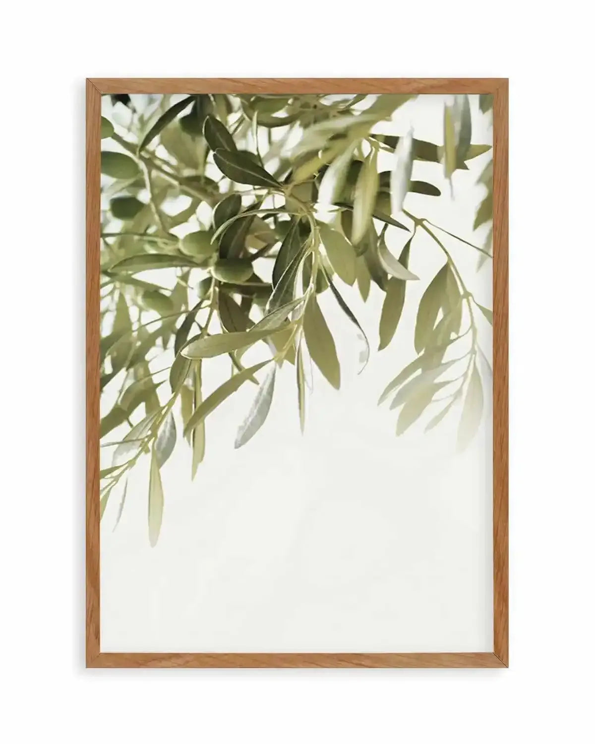 Olive Garden II Art Print from Olive et Oriel where you can shop wallpaper and artworks online