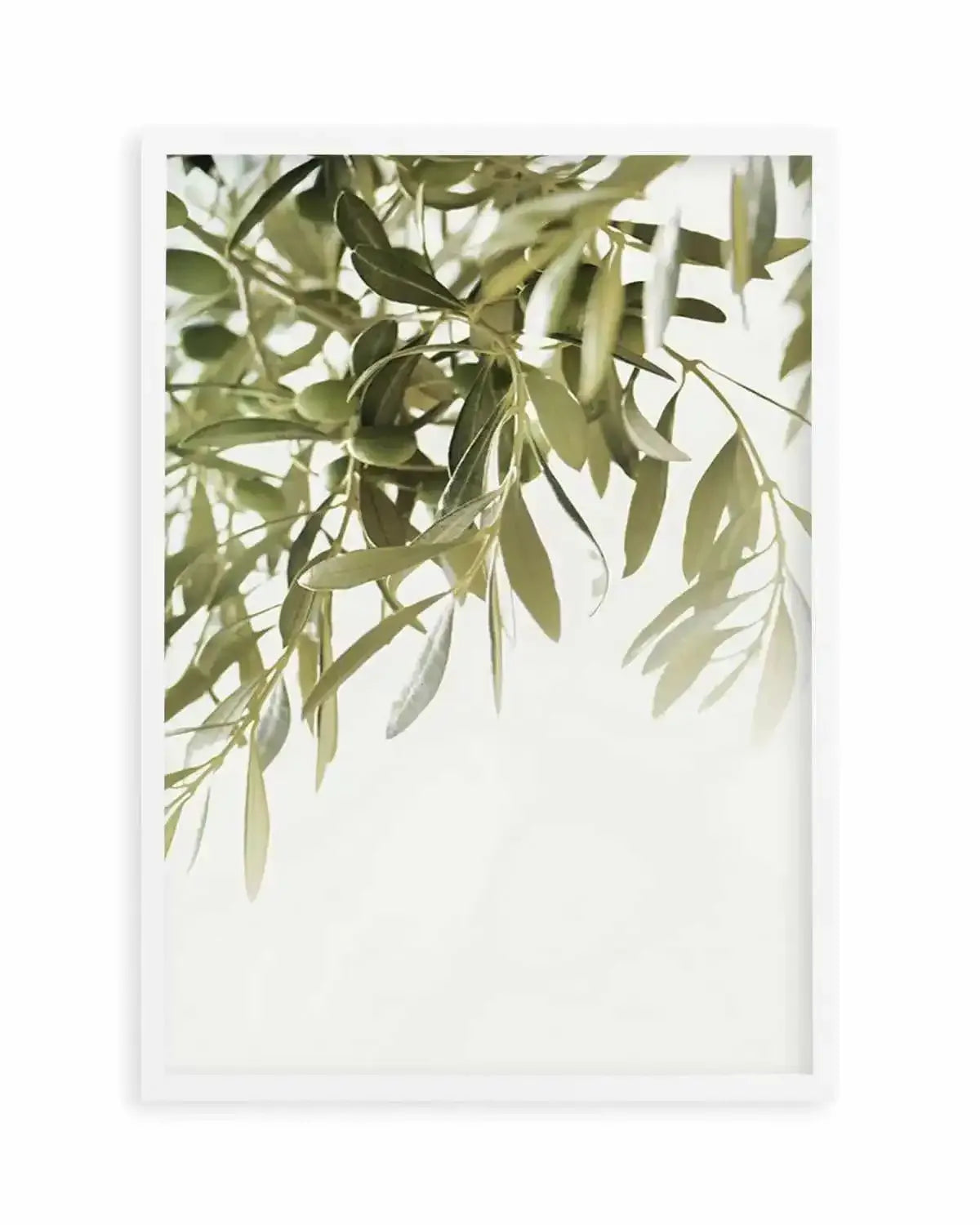 Olive Garden II Art Print from Olive et Oriel where you can shop wallpaper and artworks online