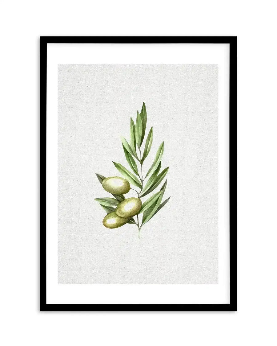Watercolour art print featuring a branch of an olive tree with three green olives and several elongated green leaves, on a textured off-white background, displayed in a black frame with white border.