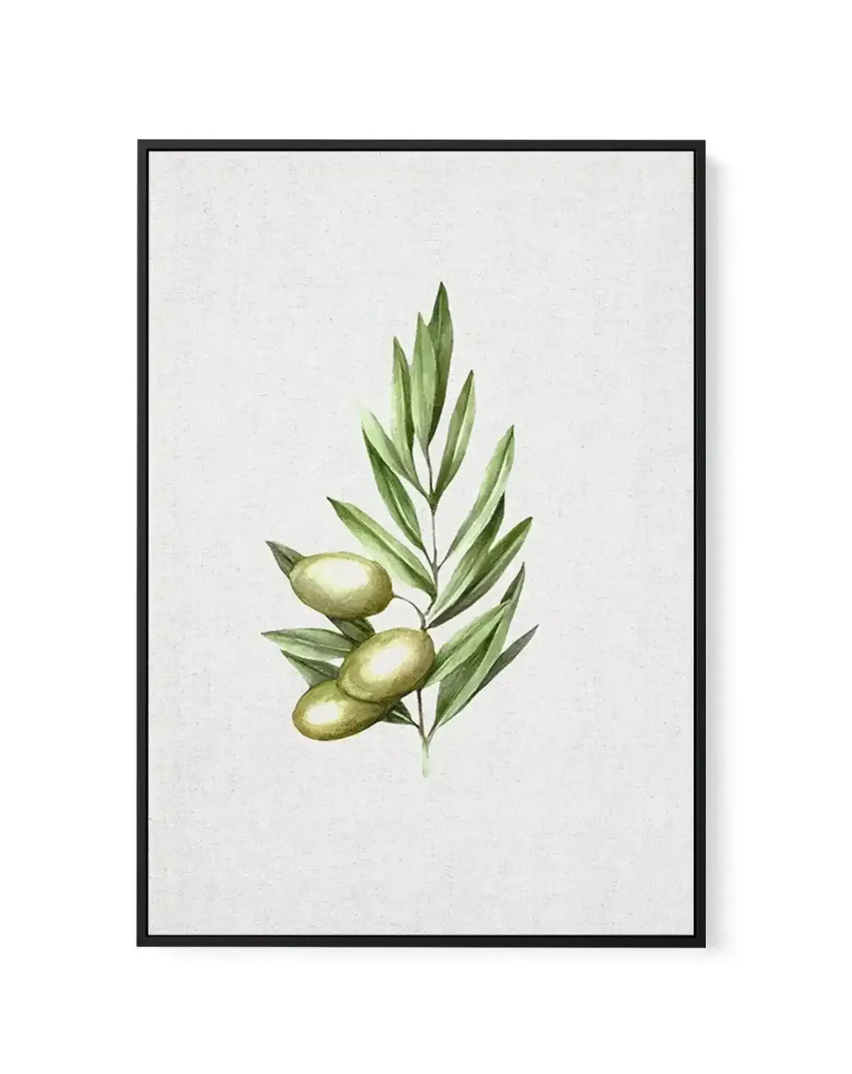 Olive I | Framed Canvas-CANVAS-You can shop wall art online with Olive et Oriel for everything from abstract art to fun kids wall art. Our beautiful modern art prints and canvas art are available from large canvas prints to wall art paintings and our proudly Australian artwork collection offers only the highest quality framed large wall art and canvas art Australia - You can buy fashion photography prints or Hampton print posters and paintings on canvas from Olive et Oriel and have them delivere
