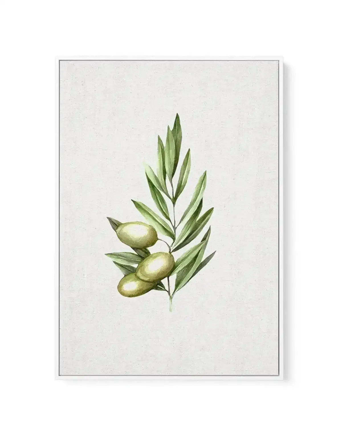 Olive I | Framed Canvas-CANVAS-You can shop wall art online with Olive et Oriel for everything from abstract art to fun kids wall art. Our beautiful modern art prints and canvas art are available from large canvas prints to wall art paintings and our proudly Australian artwork collection offers only the highest quality framed large wall art and canvas art Australia - You can buy fashion photography prints or Hampton print posters and paintings on canvas from Olive et Oriel and have them delivere