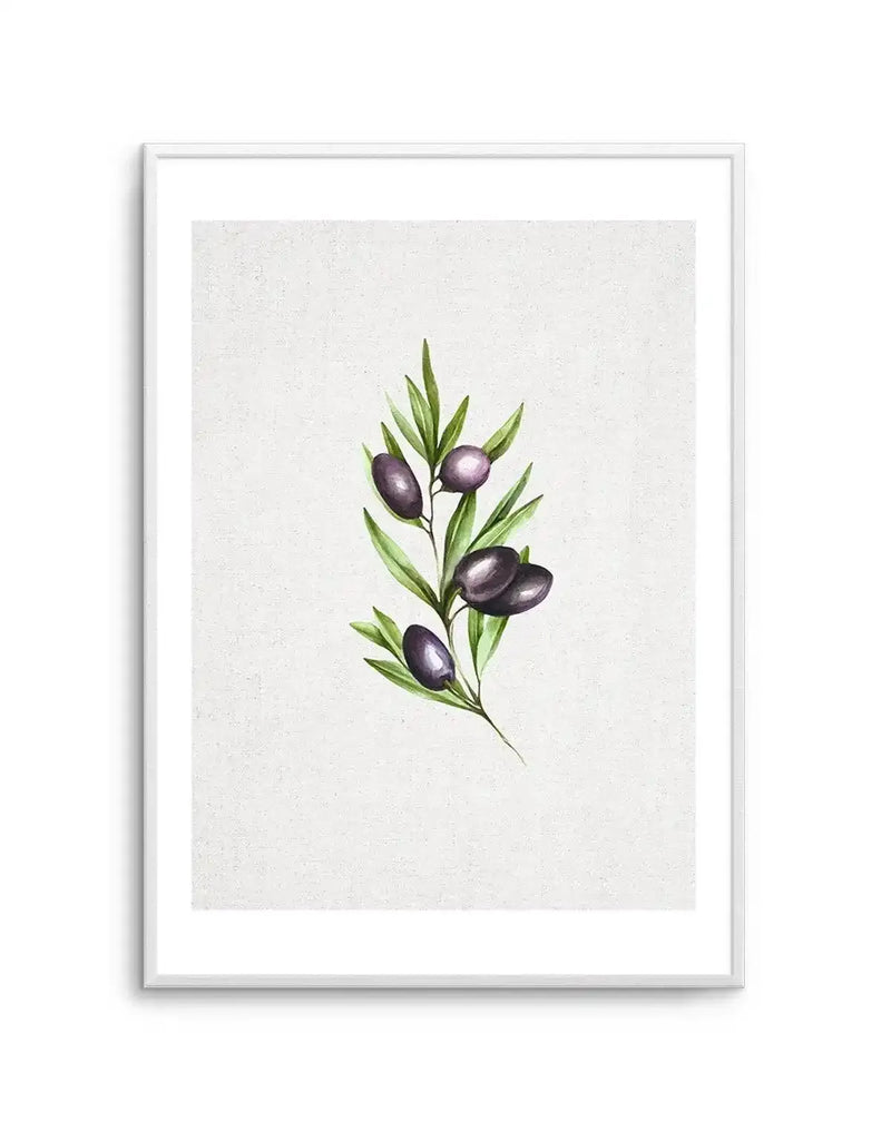 Watercolour art print featuring a single olive branch with five dark purple-black olives and slender green leaves, on a textured off-white background, displayed in a white frame with white border.