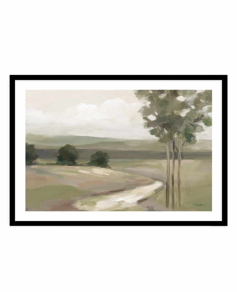 Olive Trees | Art Print