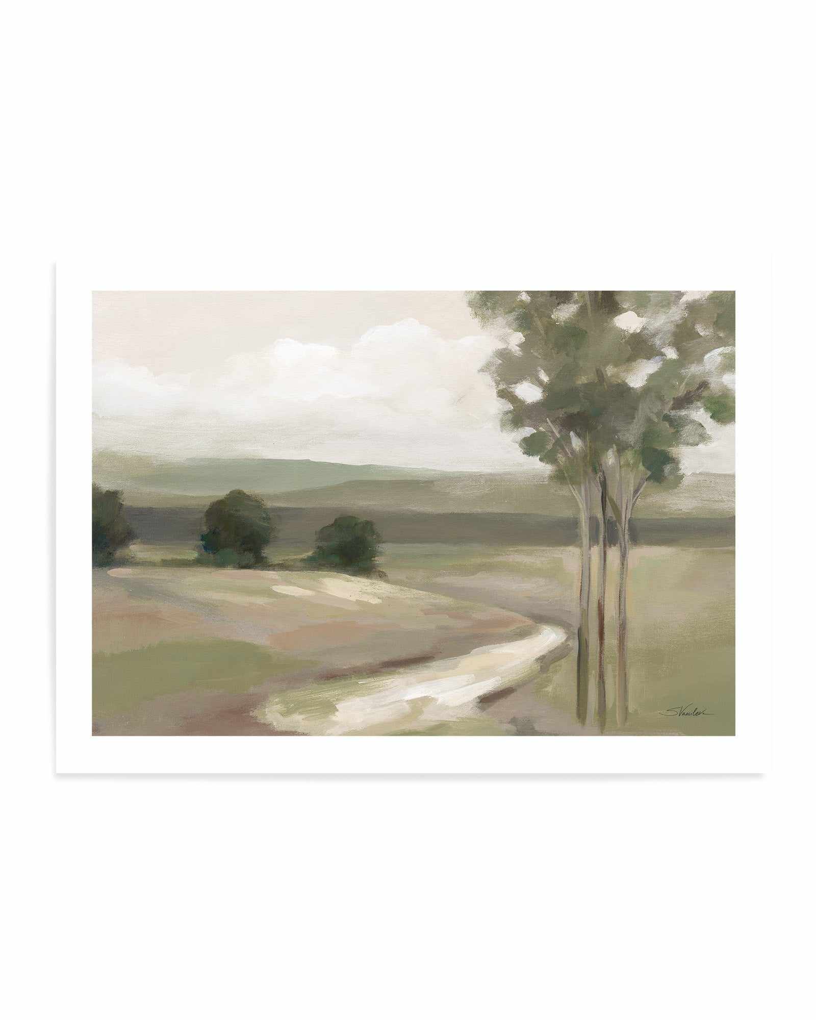 Olive Trees | Art Print