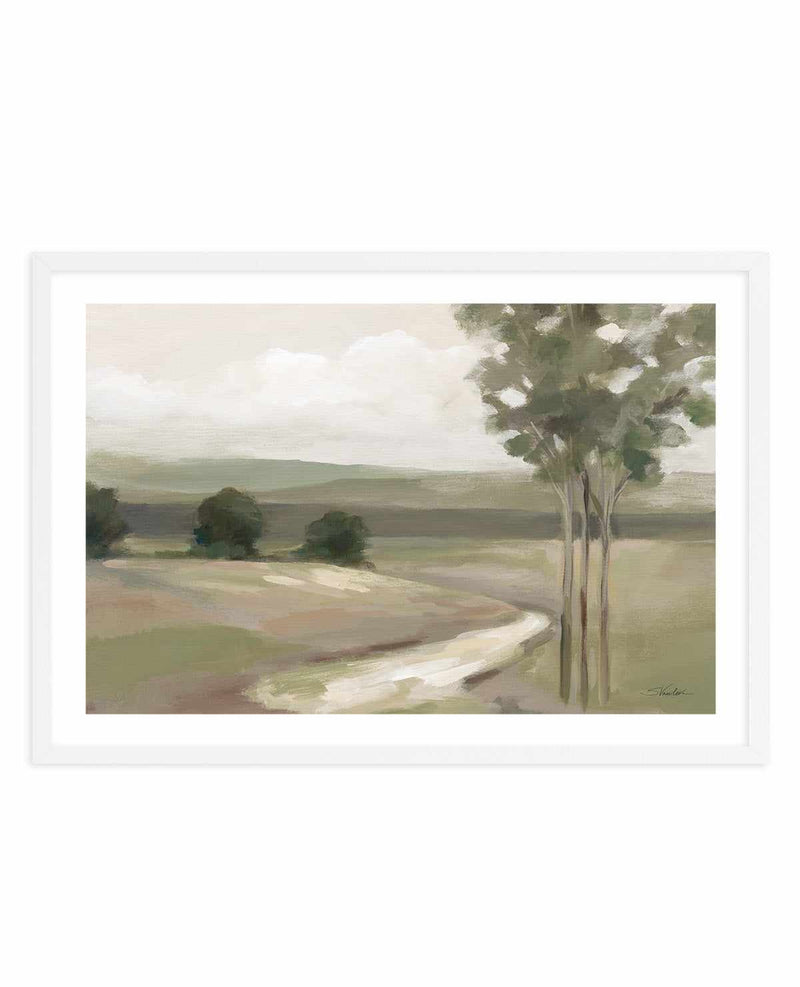 Olive Trees | Art Print