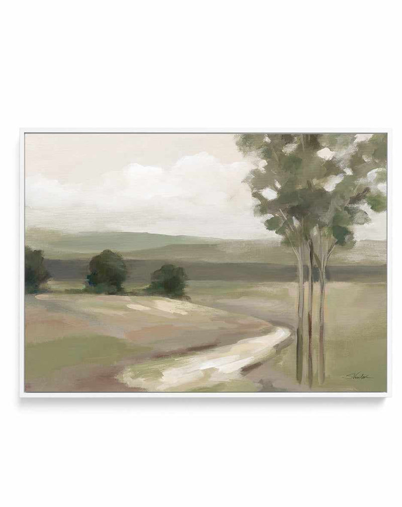 Olive Trees | Framed Canvas Art Print