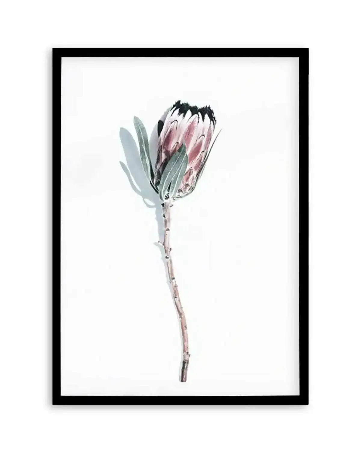 One Of A Kind Art Print from Olive et Oriel where you can shop wallpaper and artworks online