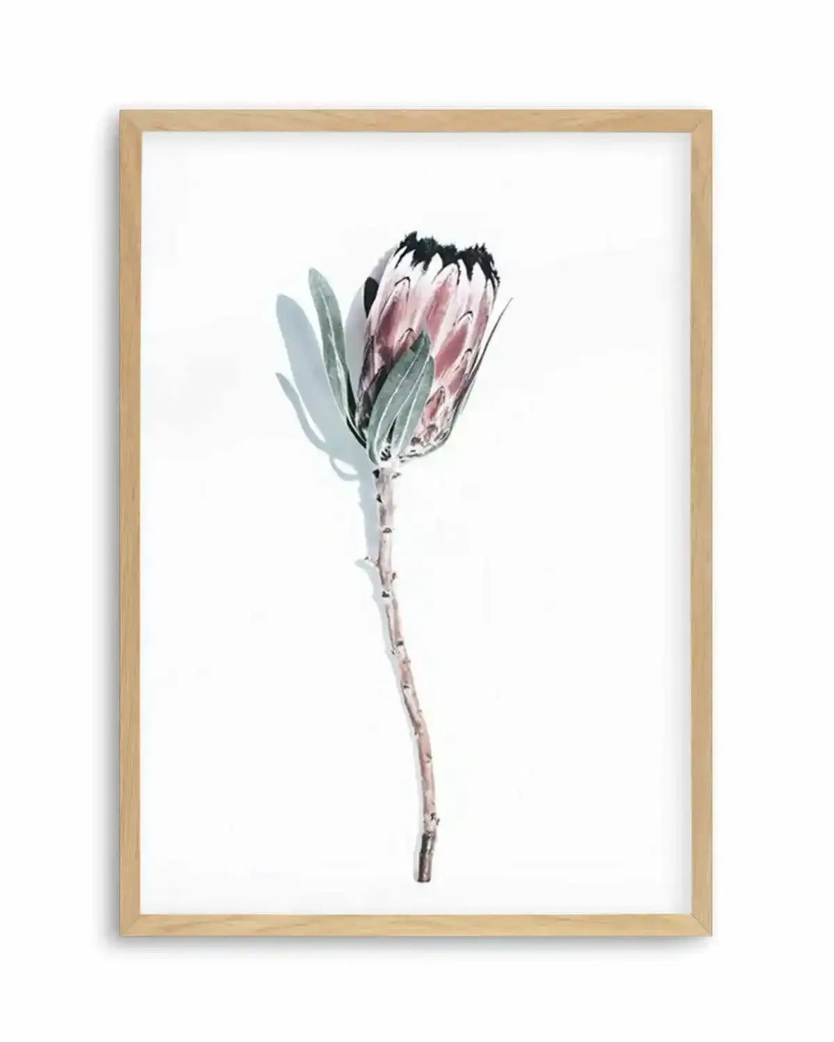 One Of A Kind Art Print from Olive et Oriel where you can shop wallpaper and artworks online