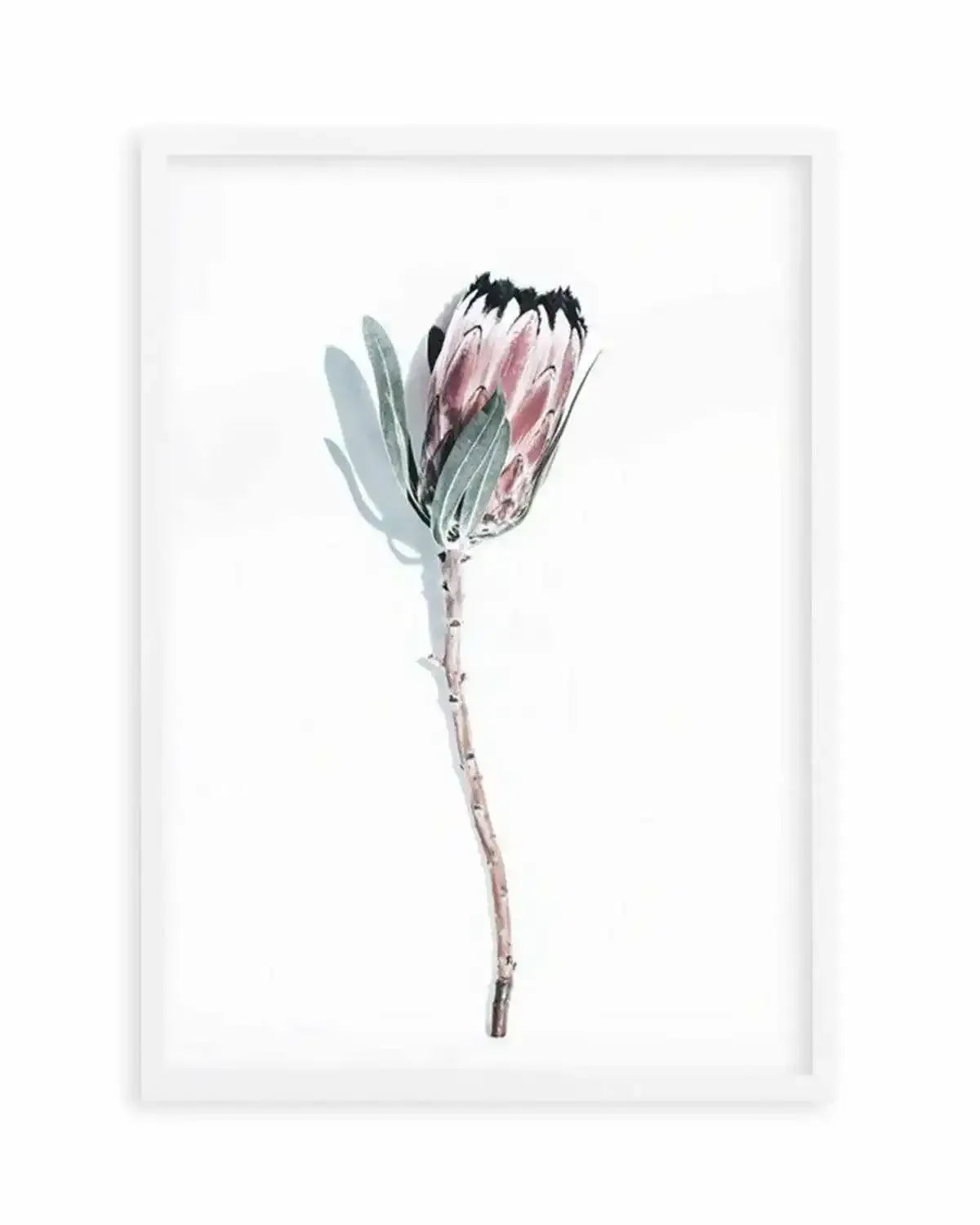 One Of A Kind Art Print from Olive et Oriel where you can shop wallpaper and artworks online