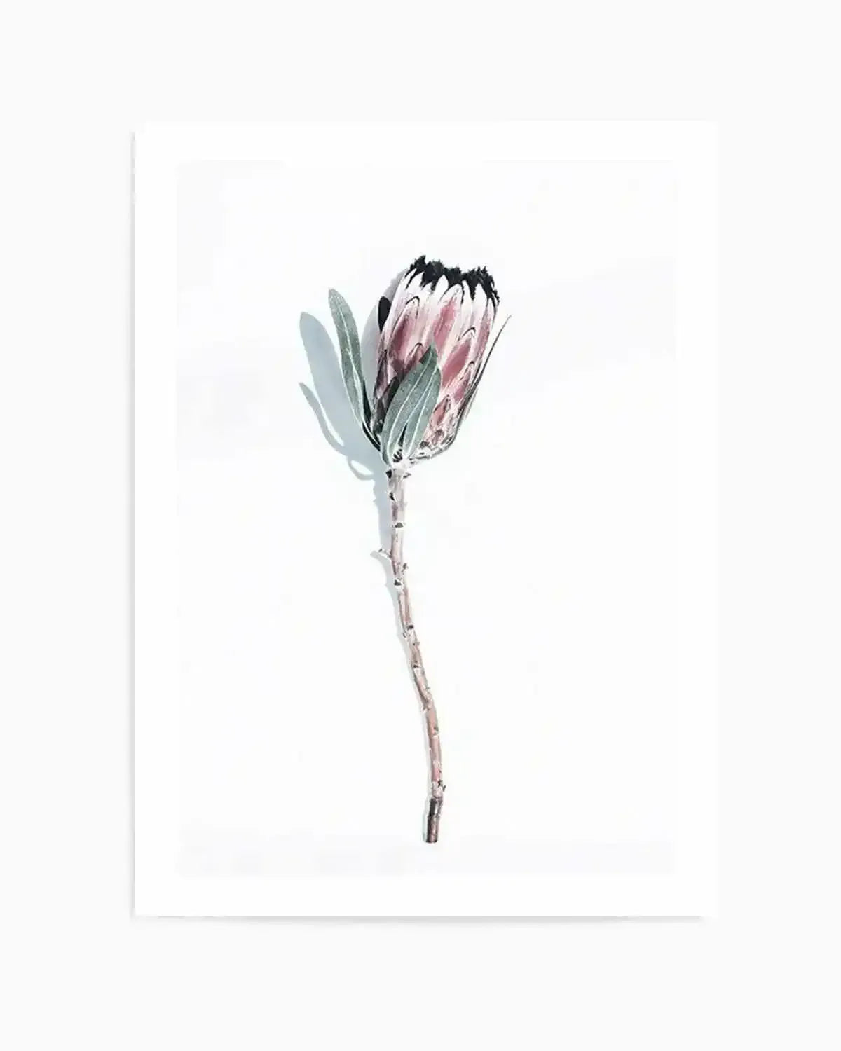 One Of A Kind Art Print from Olive et Oriel where you can shop wallpaper and artworks online