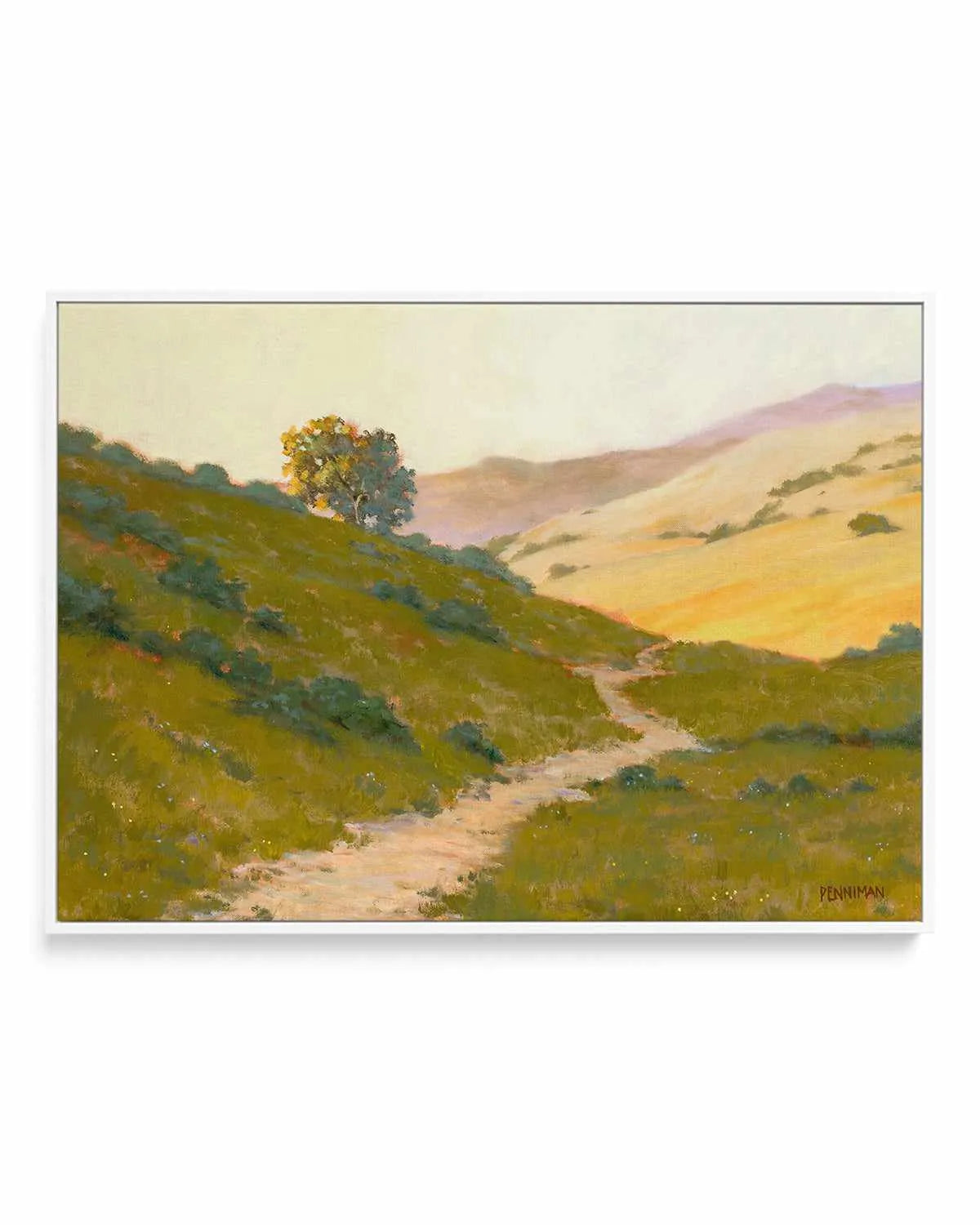 Opalescent Hills by Ed Penniman | Framed Canvas Art Print from Olive et Oriel where you can shop wallpaper and artworks online
