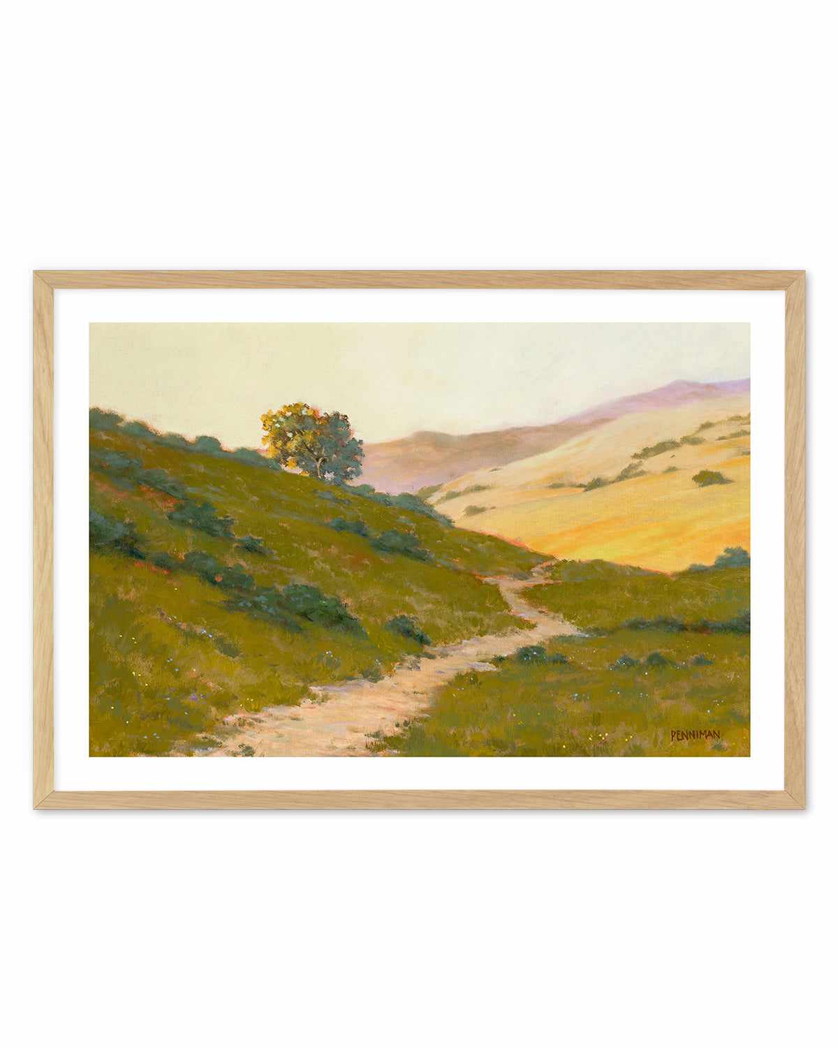 Opalescent Hills by Ed Penniman Art Print