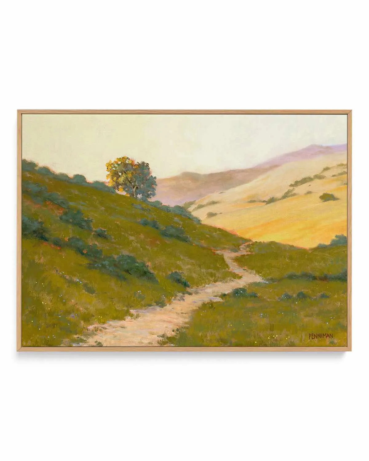 Opalescent Hills by Ed Penniman | Framed Canvas Art Print from Olive et Oriel where you can shop wallpaper and artworks online