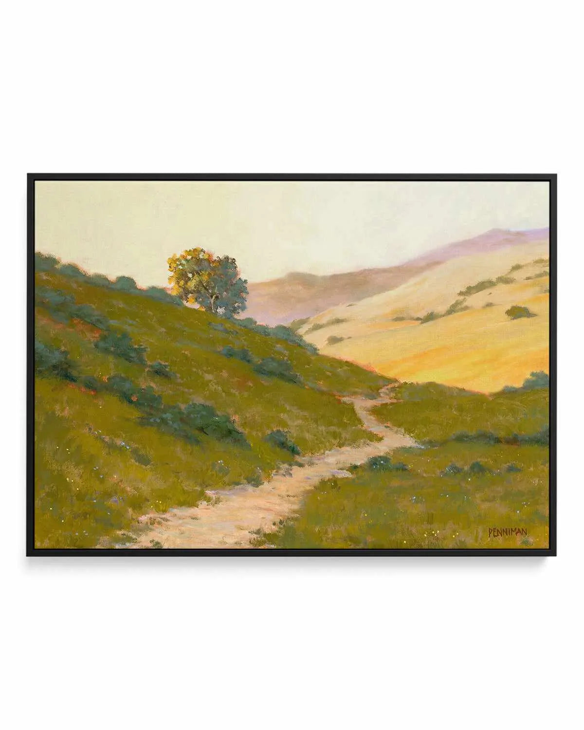 Opalescent Hills by Ed Penniman | Framed Canvas Art Print from Olive et Oriel where you can shop wallpaper and artworks online