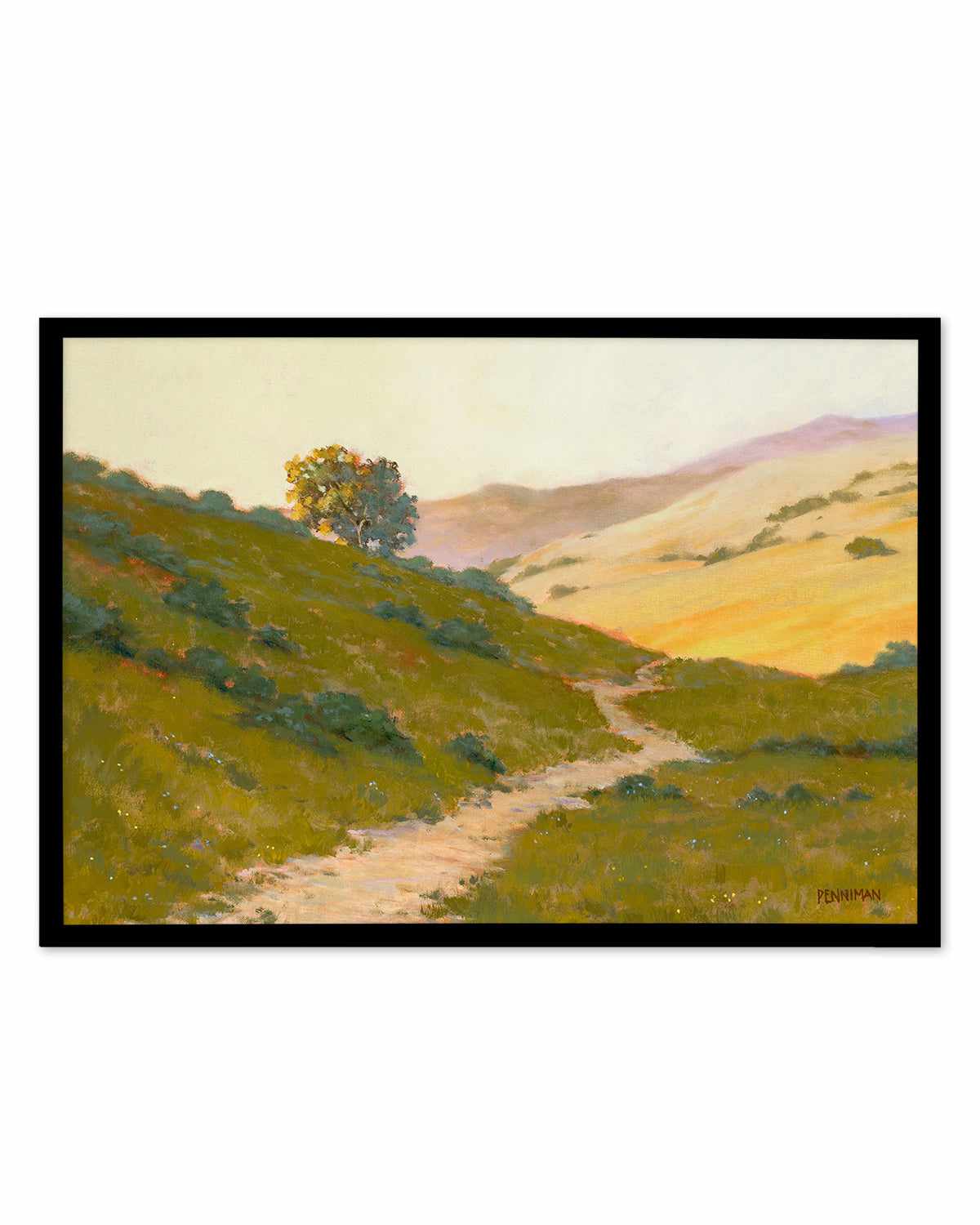 Opalescent Hills by Ed Penniman Art Print