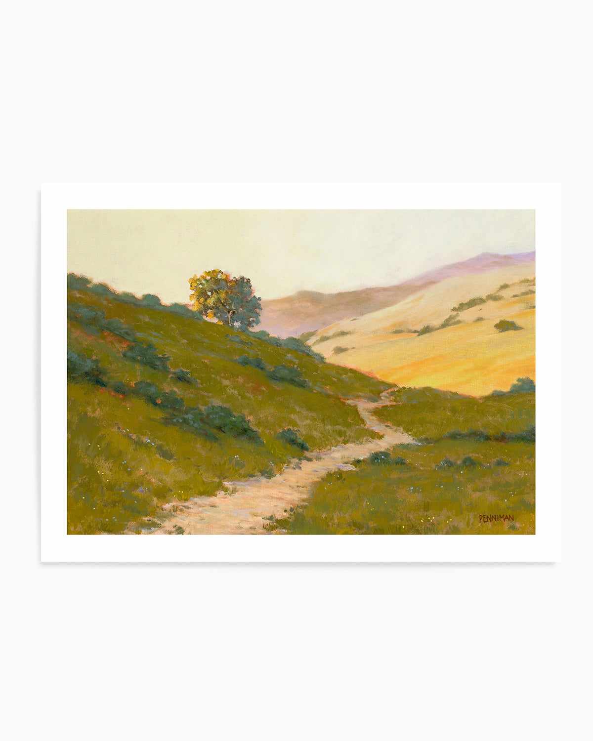 Opalescent Hills by Ed Penniman Art Print