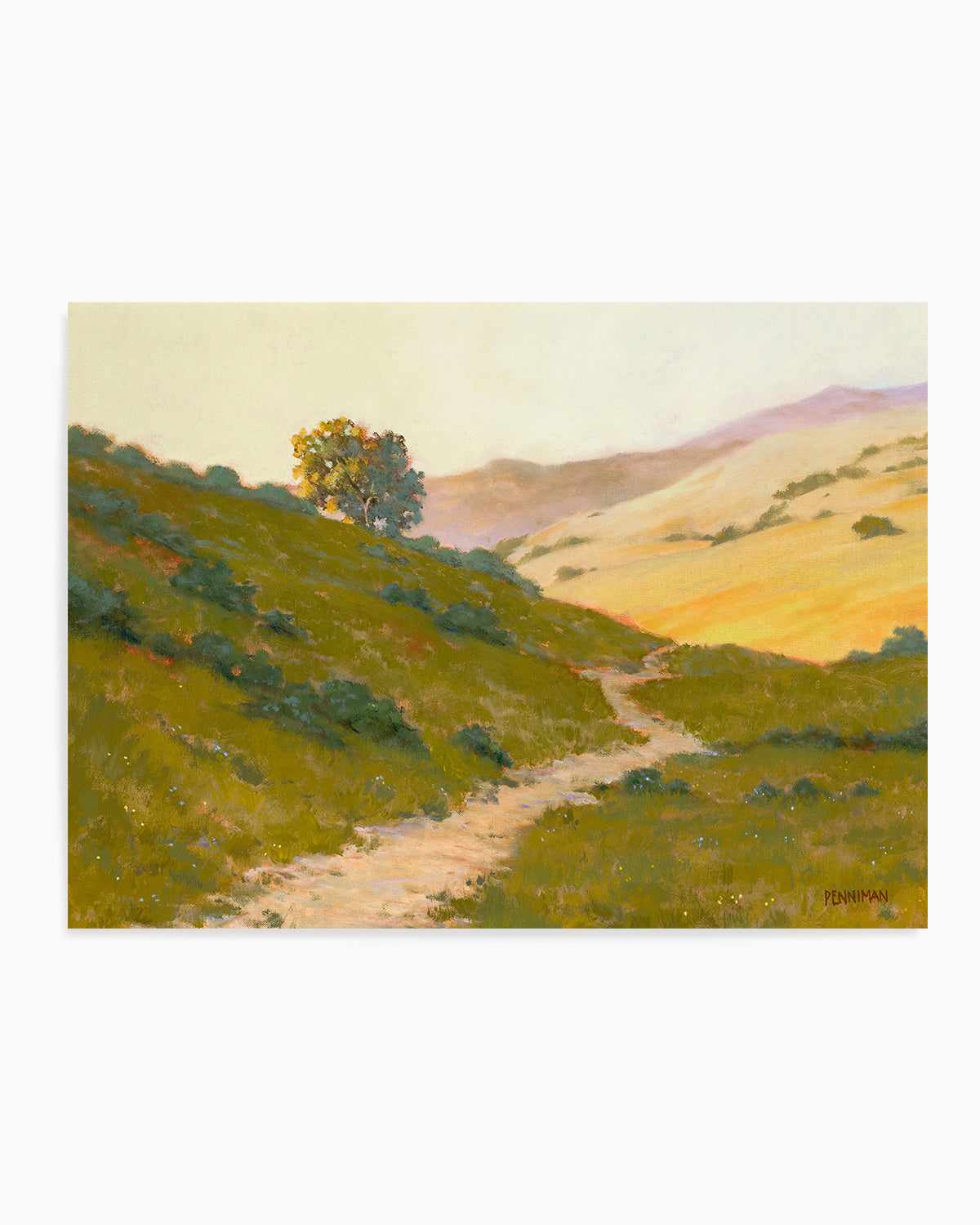 Opalescent Hills by Ed Penniman Art Print