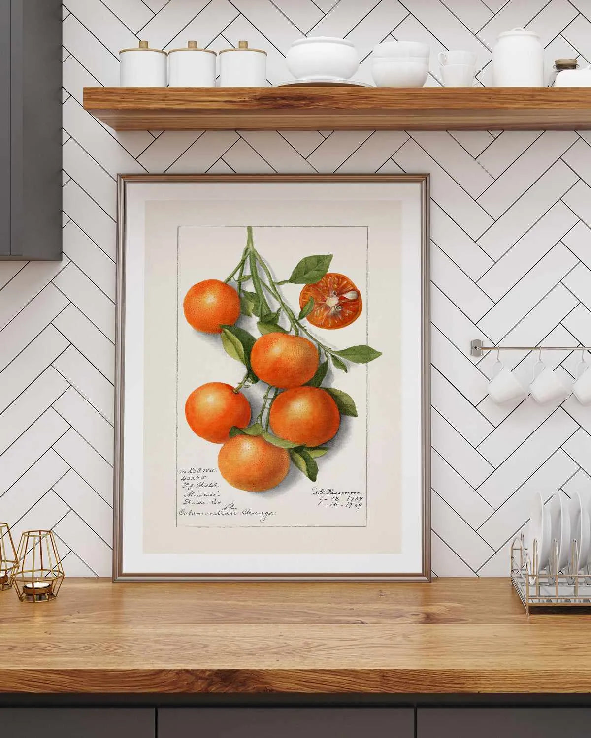 Orange Branch Vintage Poster Art Print from Olive et Oriel where you can shop wallpaper and artworks online