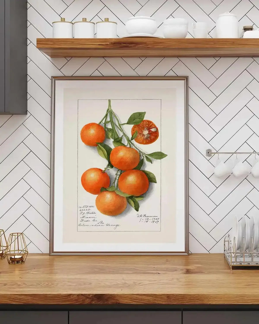 Orange Branch Vintage Poster Art Print from Olive et Oriel where you can shop wallpaper and artworks online