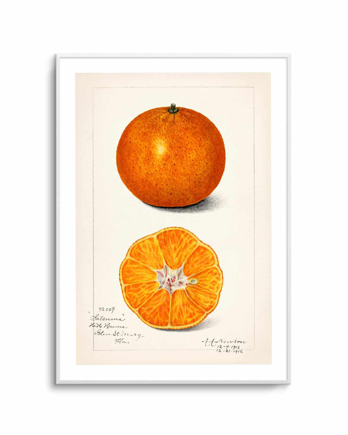 Orange Vintage Poster Art Print