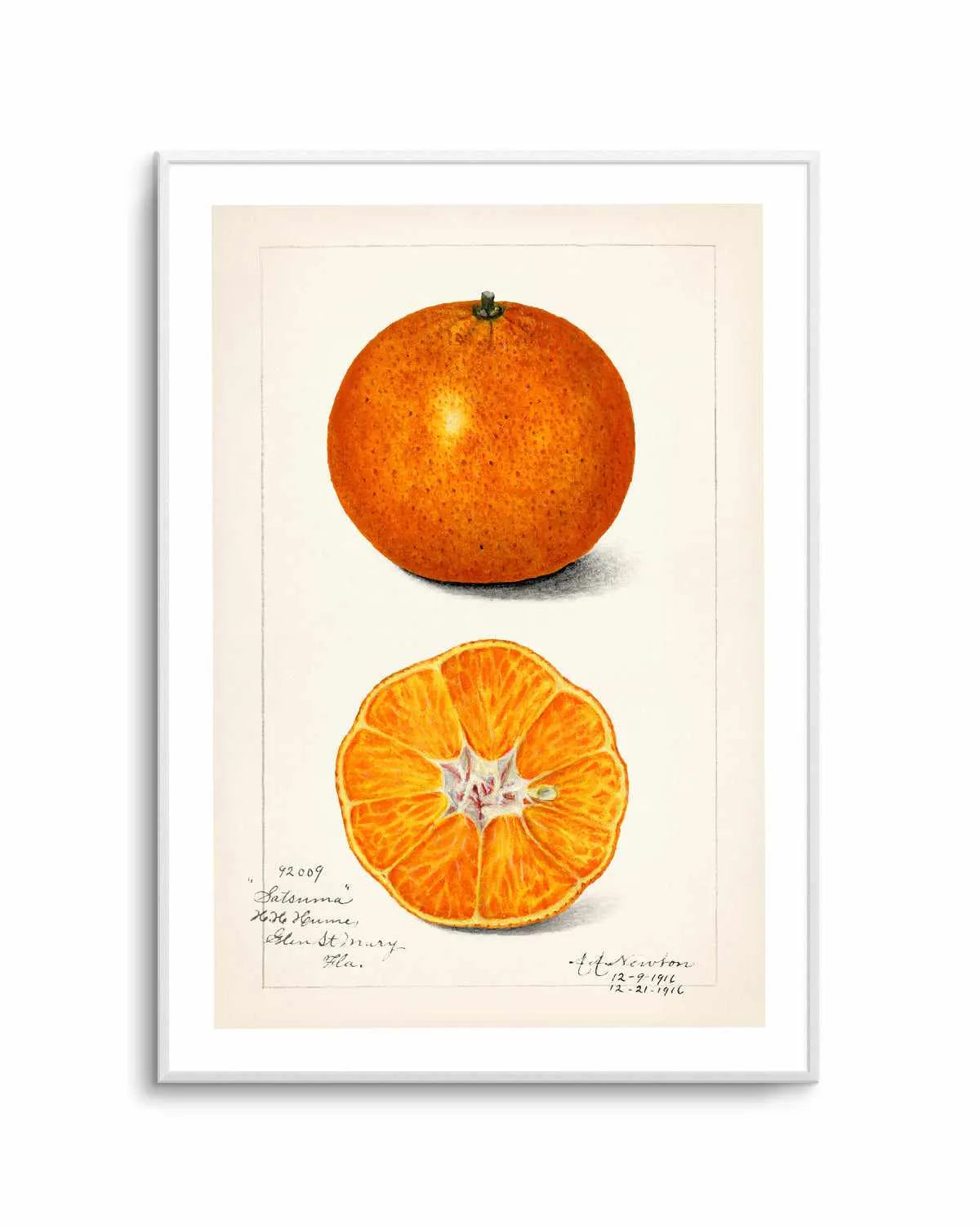 Orange Vintage Poster Art Print from Olive et Oriel where you can shop wallpaper and artworks online