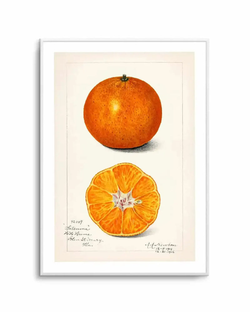 Orange Vintage Poster Art Print from Olive et Oriel where you can shop wallpaper and artworks online