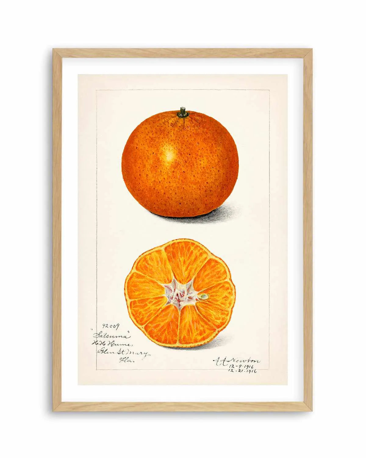Orange Vintage Poster Art Print from Olive et Oriel where you can shop wallpaper and artworks online