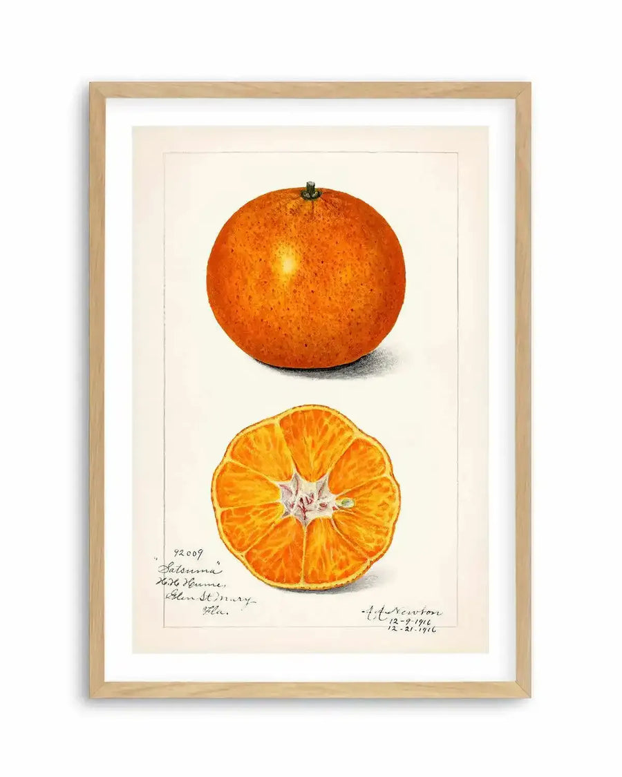 Orange Vintage Poster Art Print from Olive et Oriel where you can shop wallpaper and artworks online