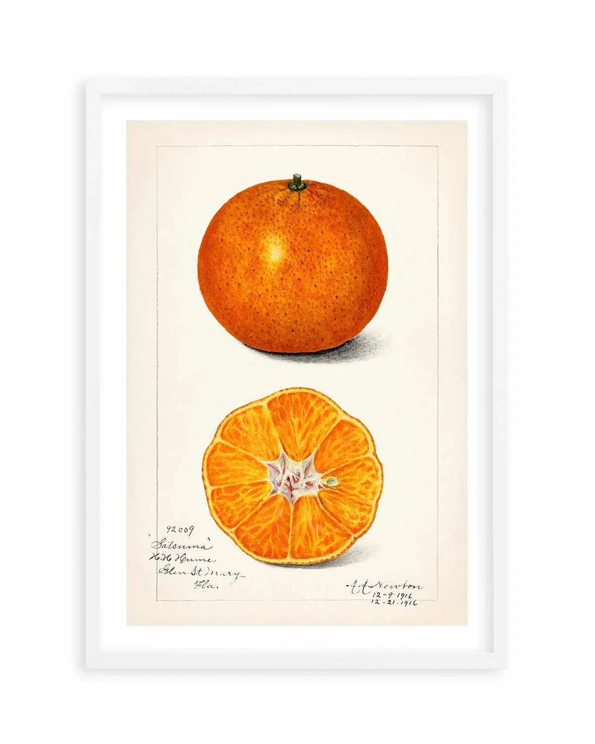 Orange Vintage Poster Art Print from Olive et Oriel where you can shop wallpaper and artworks online