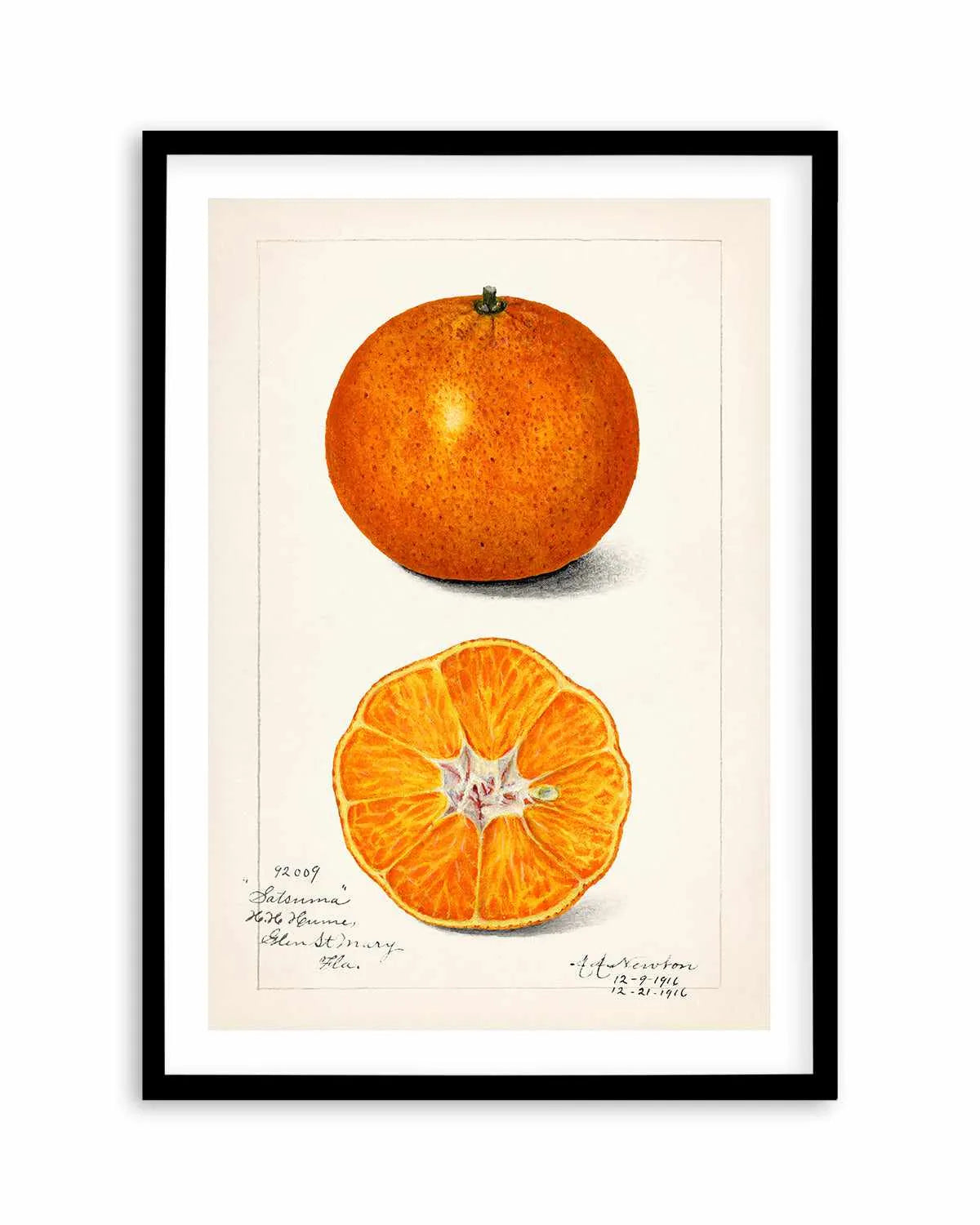 Orange Vintage Poster Art Print from Olive et Oriel where you can shop wallpaper and artworks online