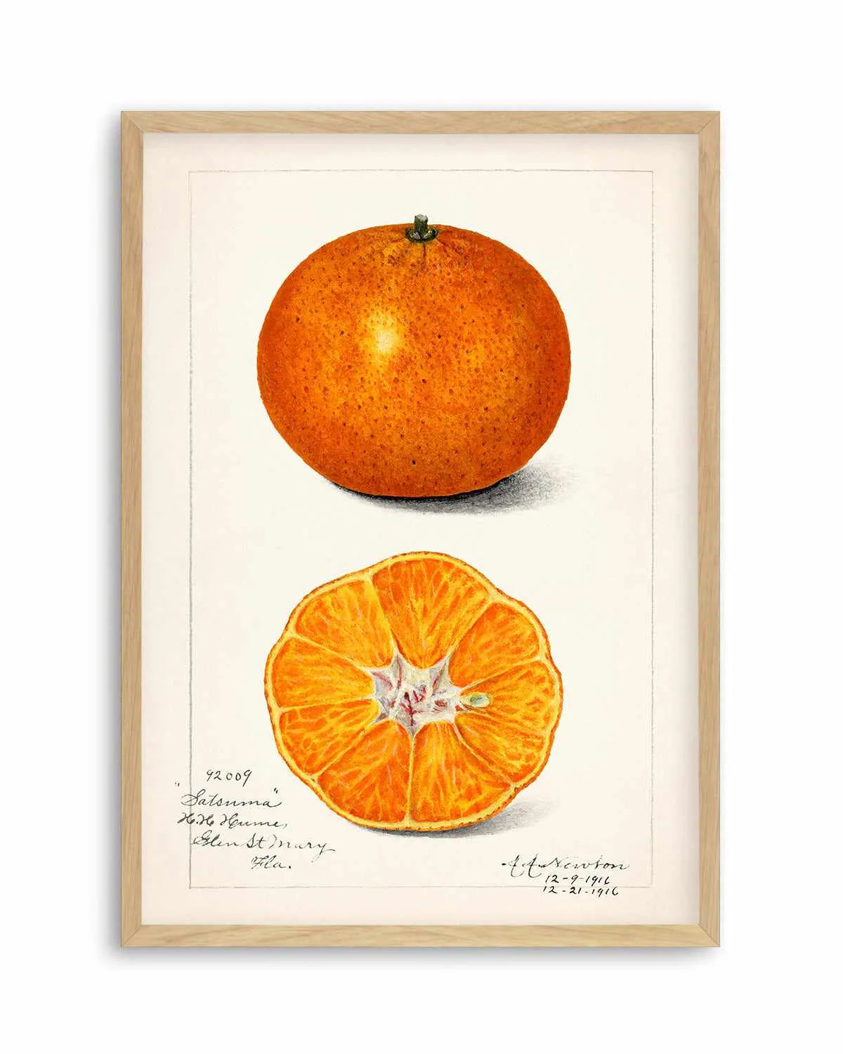 Orange Vintage Poster Art Print from Olive et Oriel where you can shop wallpaper and artworks online