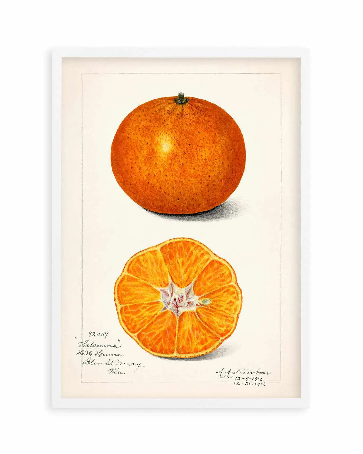Orange Vintage Poster Art Print from Olive et Oriel where you can shop wallpaper and artworks online