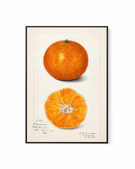 Orange Vintage Poster | Framed Canvas Art Print