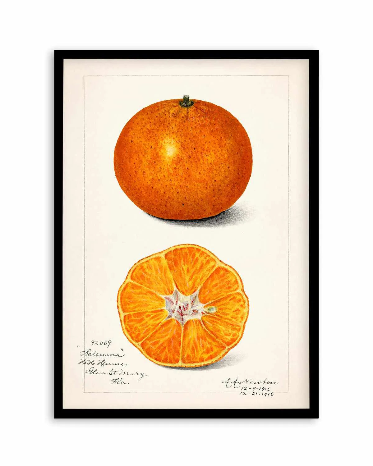 Orange Vintage Poster Art Print from Olive et Oriel where you can shop wallpaper and artworks online