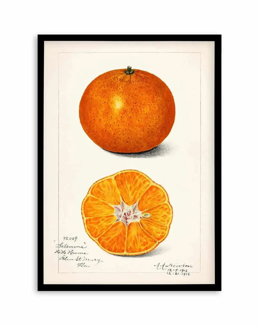 Orange Vintage Poster Art Print from Olive et Oriel where you can shop wallpaper and artworks online
