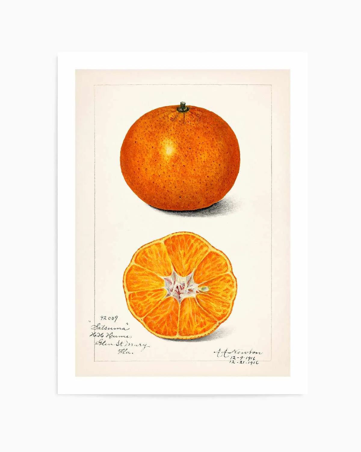 Orange Vintage Poster Art Print from Olive et Oriel where you can shop wallpaper and artworks online