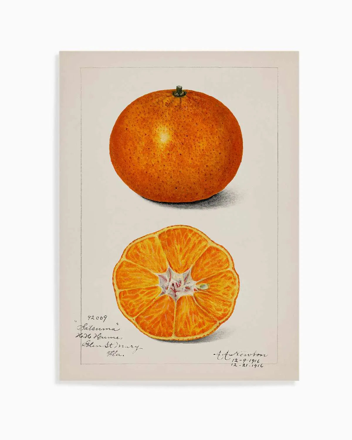 Orange Vintage Poster Art Print from Olive et Oriel where you can shop wallpaper and artworks online