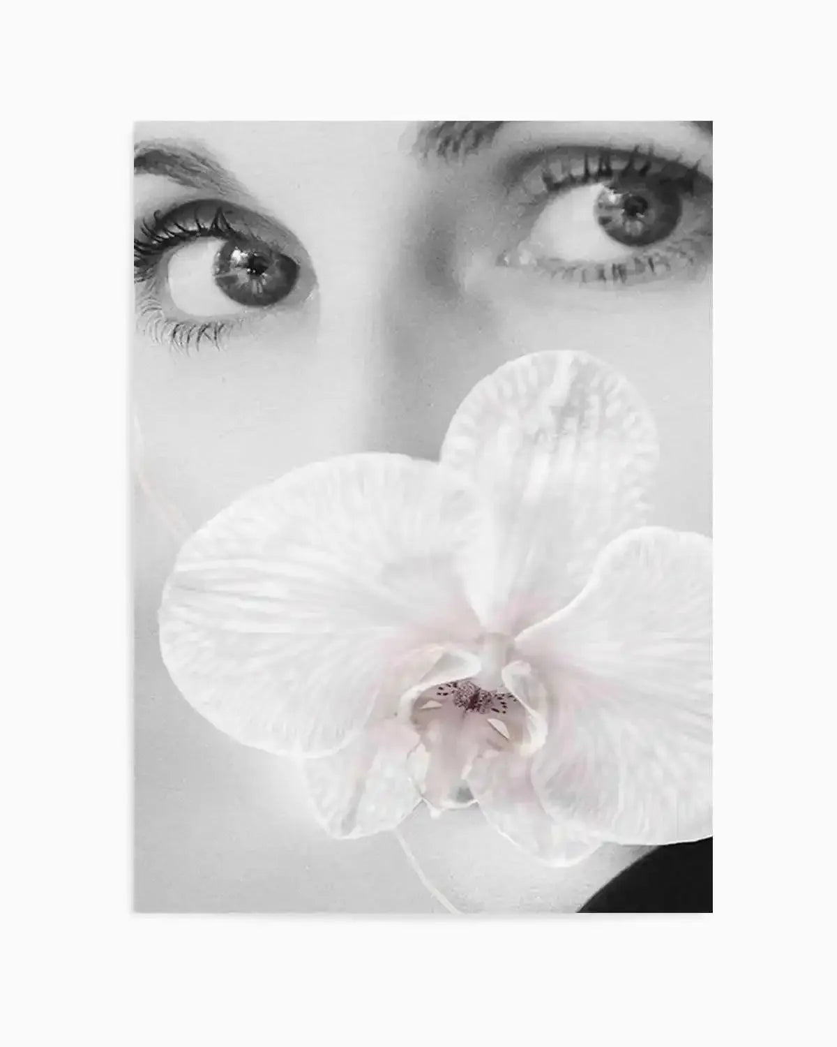 Orchids Girl I Art Print from Olive et Oriel where you can shop wallpaper and artworks online