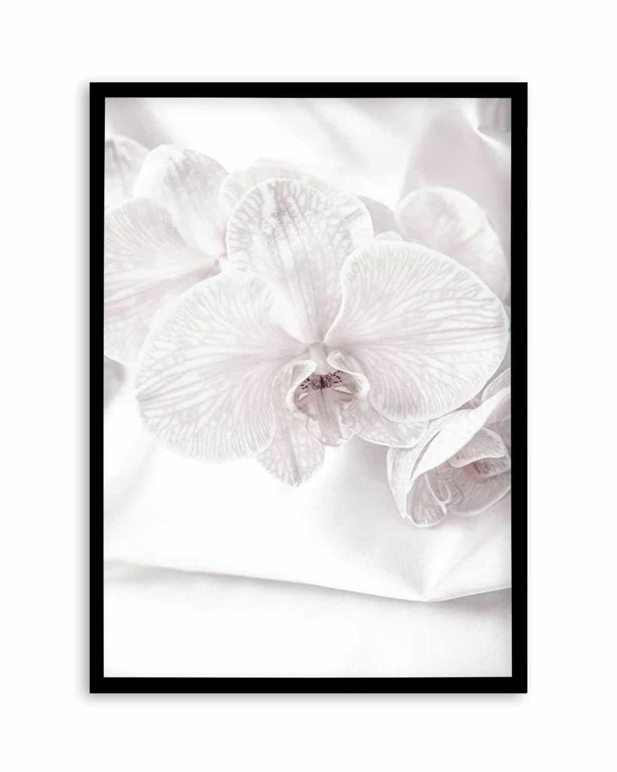 Orchids I Art Print