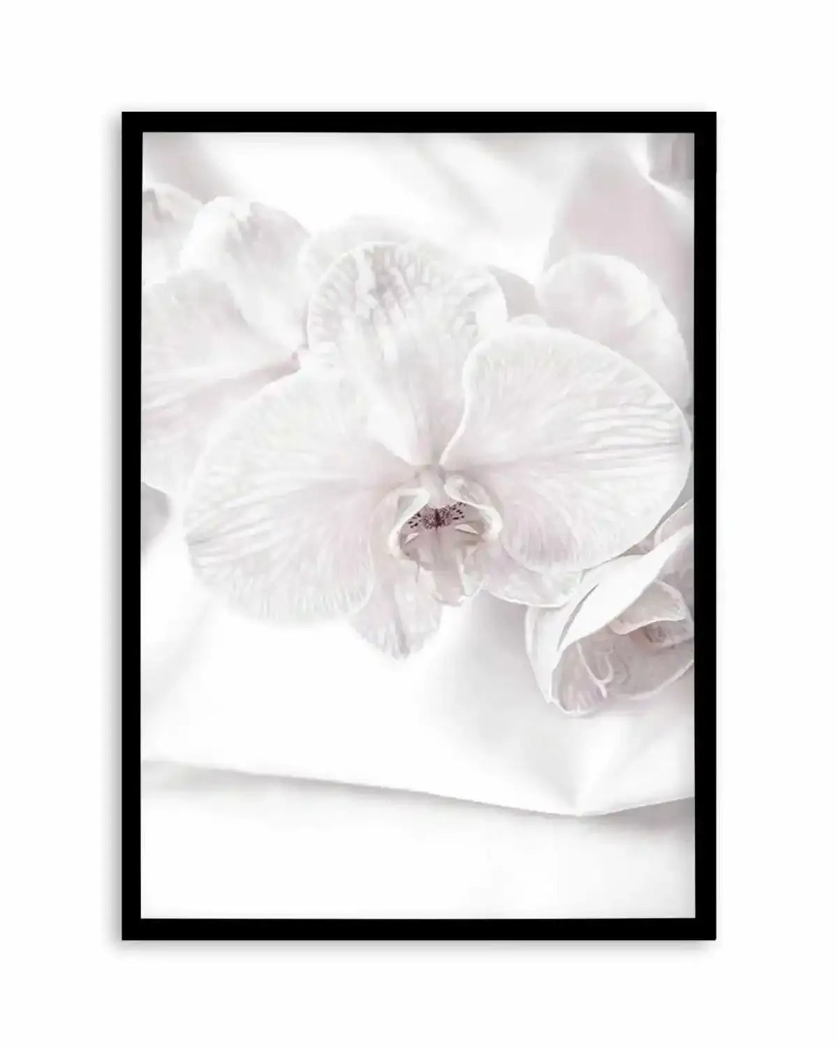 Orchids I Art Print from Olive et Oriel where you can shop wallpaper and artworks online