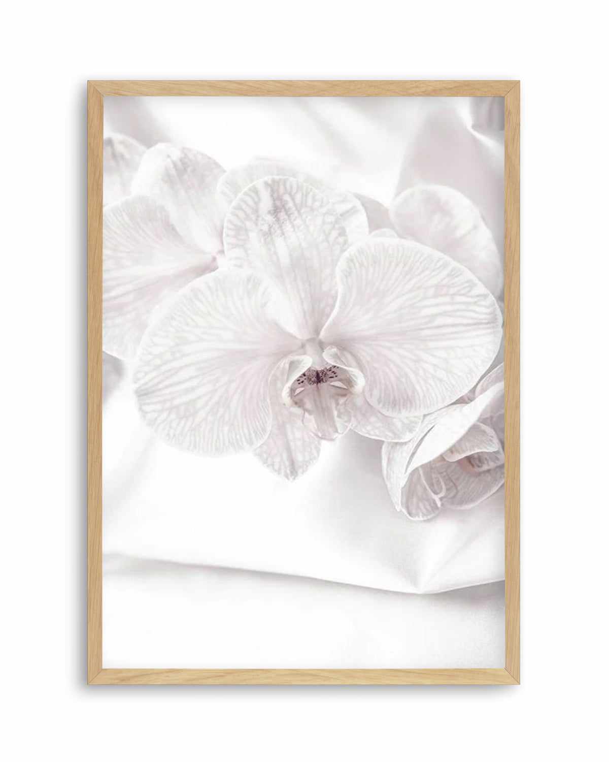 Orchids I Art Print