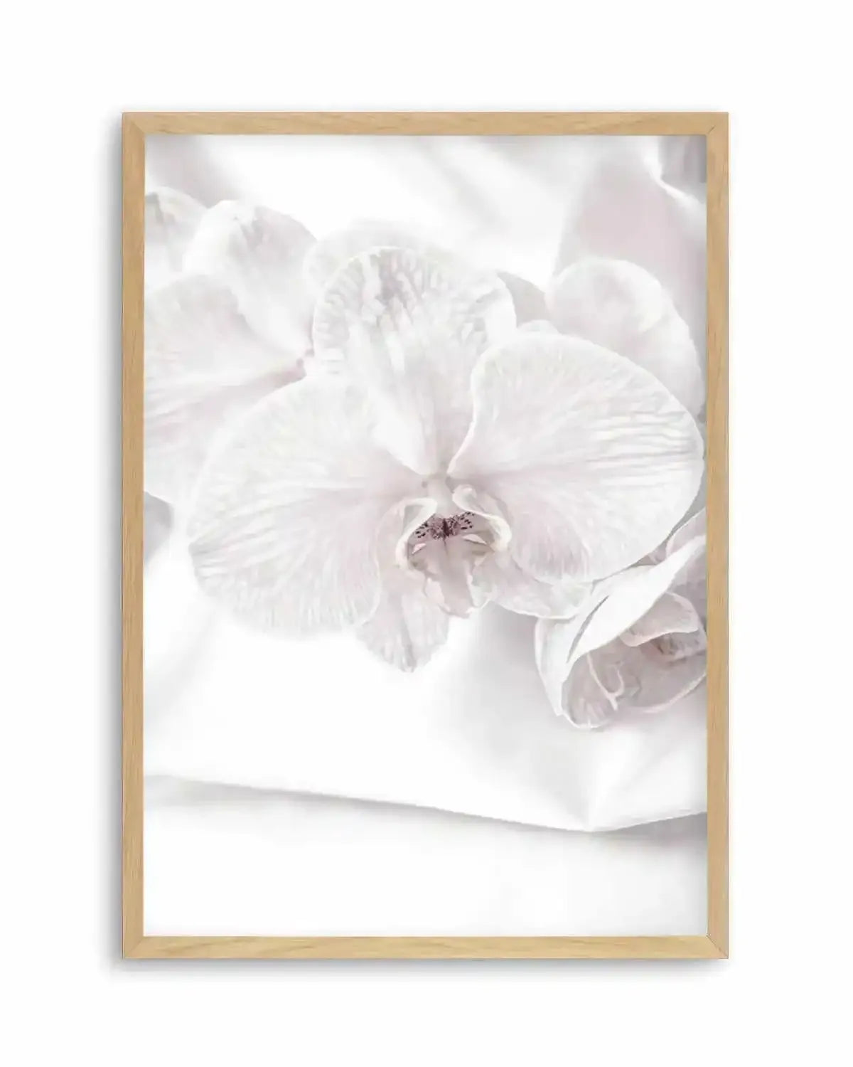 Orchids I Art Print from Olive et Oriel where you can shop wallpaper and artworks online