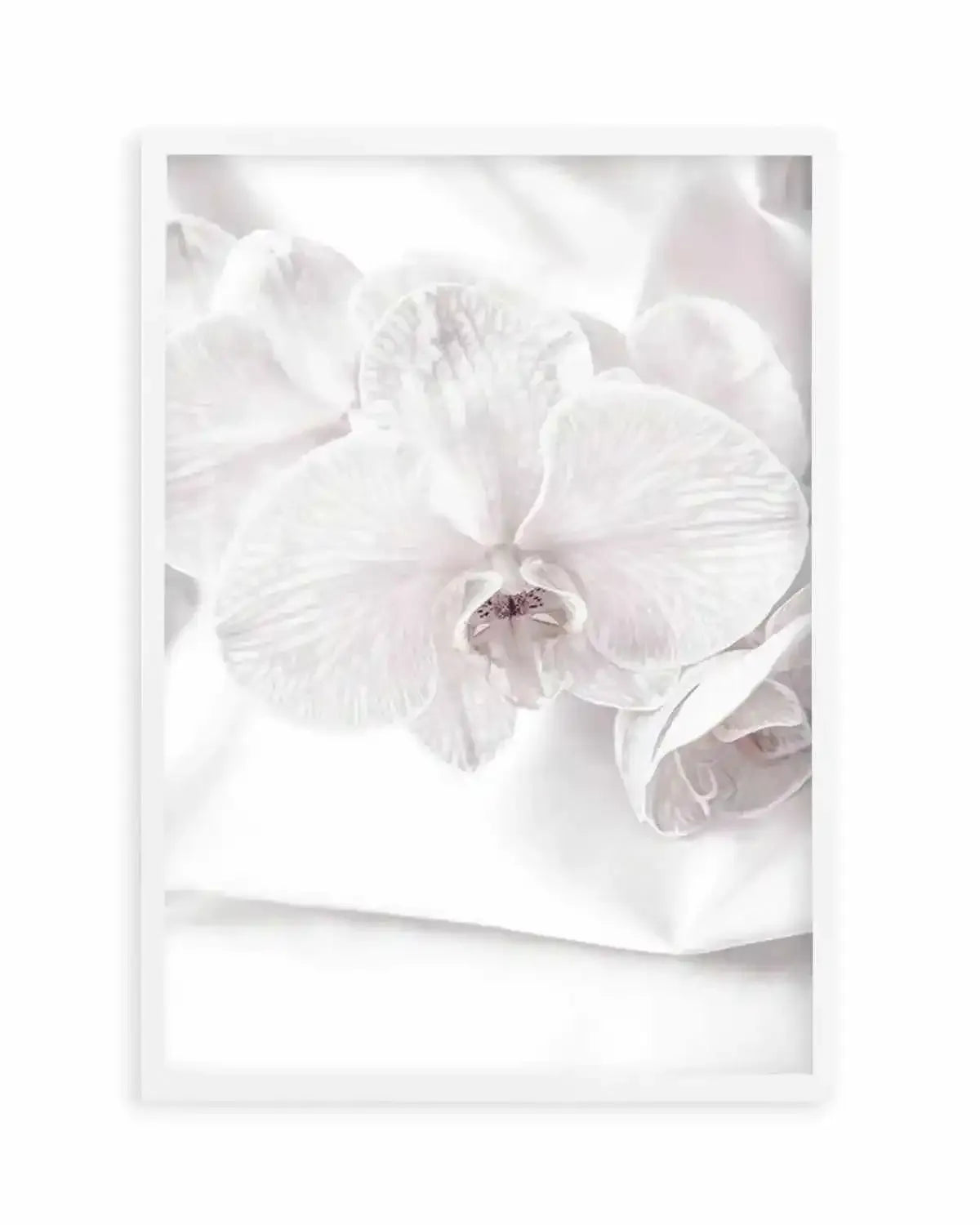 Orchids I Art Print from Olive et Oriel where you can shop wallpaper and artworks online