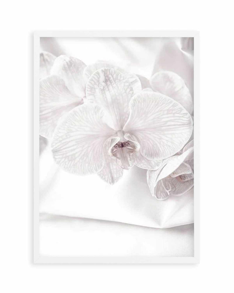 Orchids I Art Print