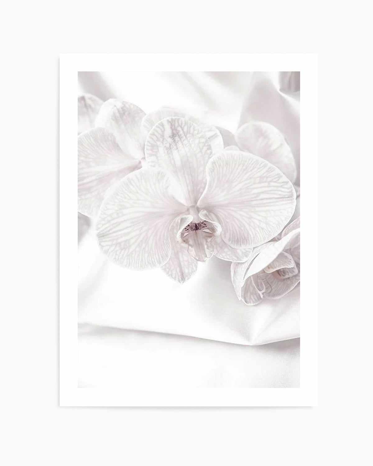 Orchids I Art Print