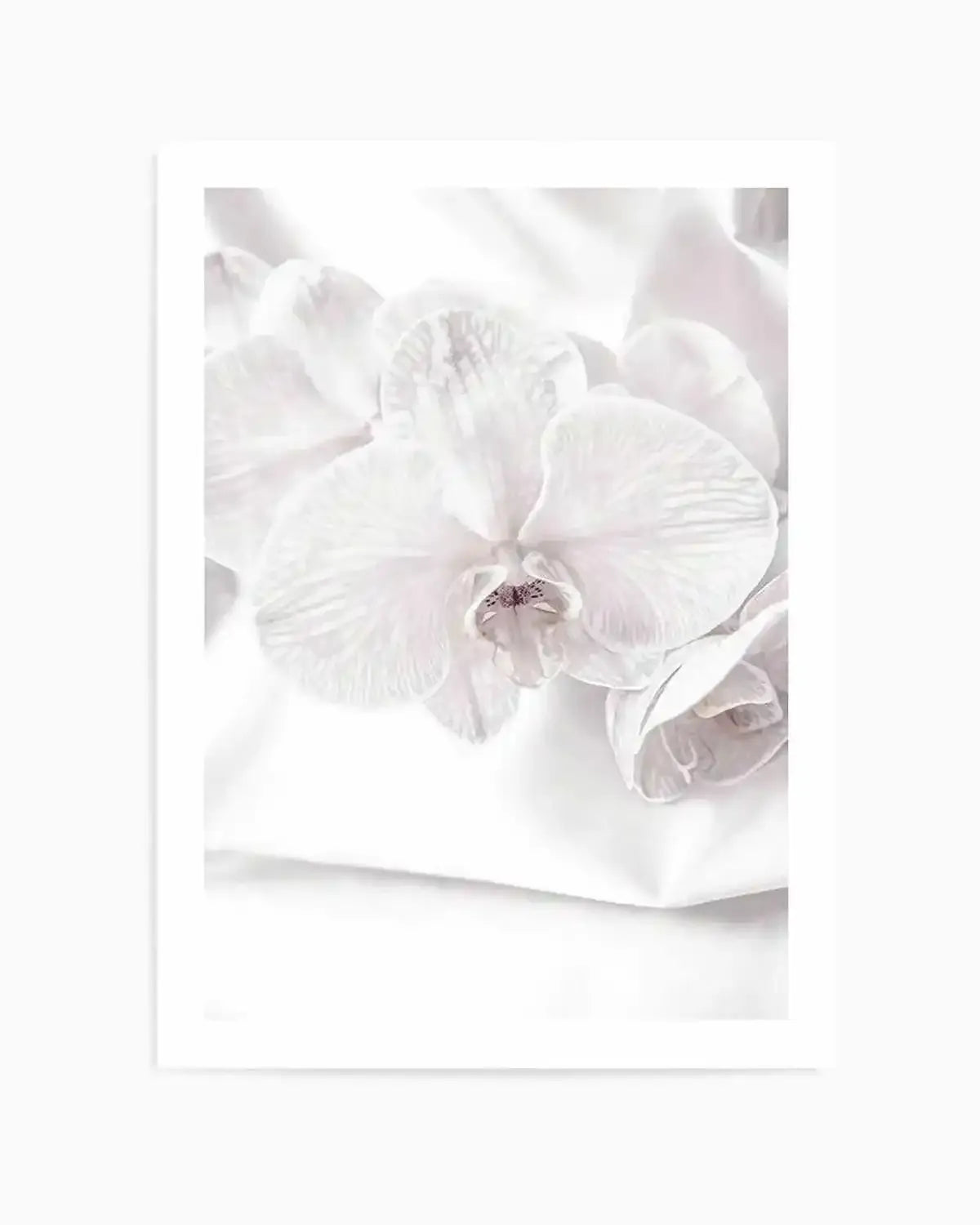 Orchids I Art Print from Olive et Oriel where you can shop wallpaper and artworks online