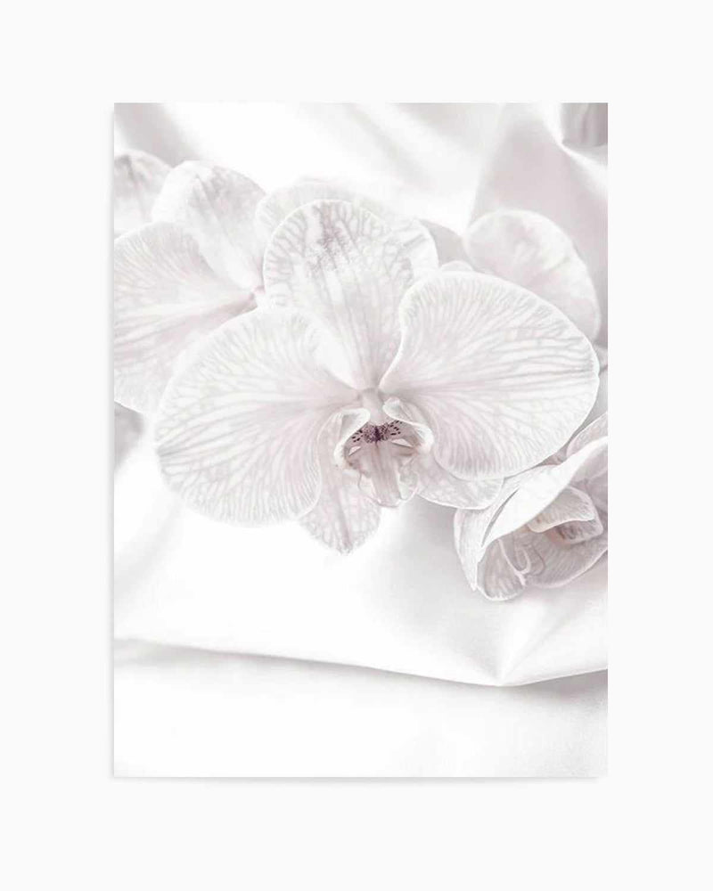 Orchids I Art Print